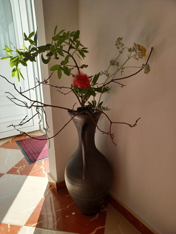 Apartment Ivic Paka Rab *